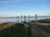 Bilde 5