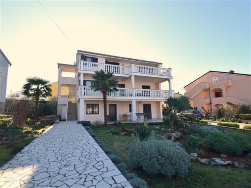 Ferielejlighed - 4 personer -  - Krk/Njivice - 51512