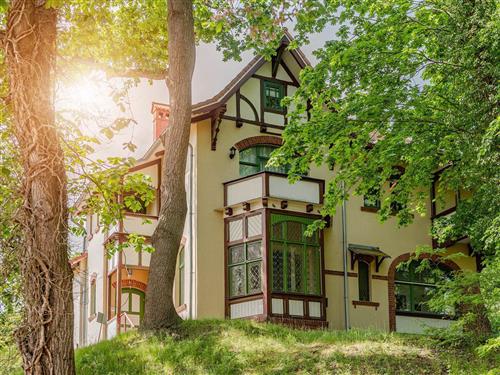 Ferieleilighet - 2 personer -  - Grenzstraße - 17424 - Heringsdorf (Seebad)