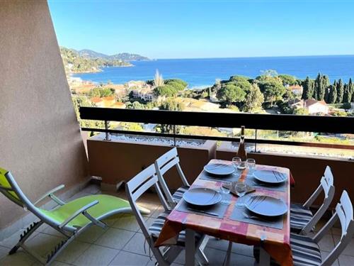 Ferielejlighed - 3 personer -  - 83980 - Le Lavandou
