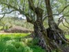 Billede 25