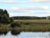 Image 148