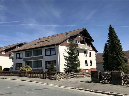 Sommerhus - 4 personer -  - 38700 - Braunlage