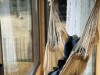 Bild 22