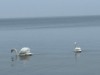 Image 36 - View of water