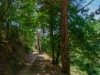 Image 29 - Outside