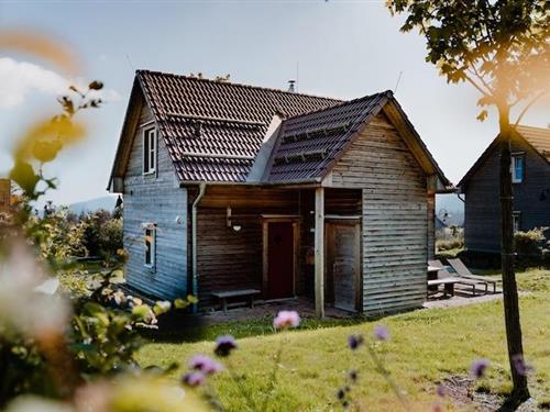 Feriehus / leilighet - 6 personer -  - 38667 - Torfhaus