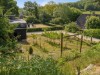 Billede 20 - Grund