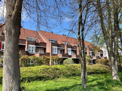 Ferieleilighet - 2 personer -  - Seestraße - 23746 - Kellenhusen