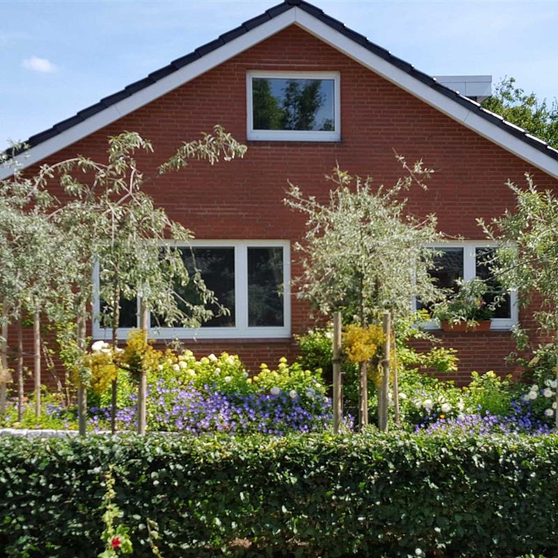 Ferielejlighed - 2 personer -  - Kreuzweg - 23730 - Neustadt In Holstein