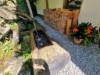 Image 27 - Outside