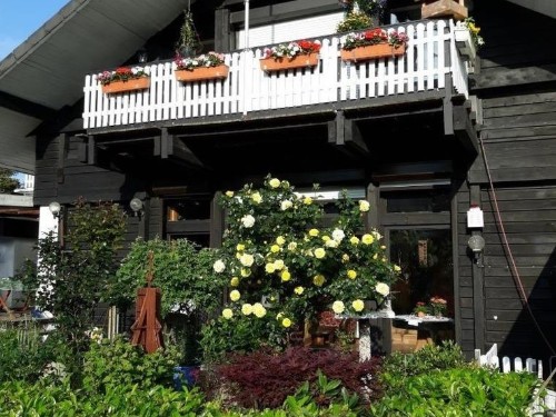 Ferielejlighed - 4 personer -  - Wolfsburger Straße - 27476 - Cuxhaven