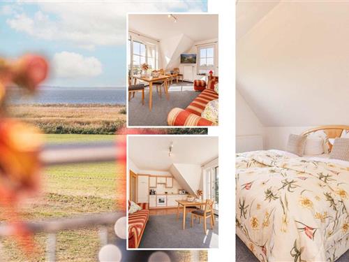 Ferielejlighed - 4 personer -  - Diplomatenweg - 17459 - Loddin