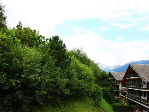 Holiday apartment - 4 persons -  - 1993 - Veysonnaz