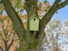Bild 51
