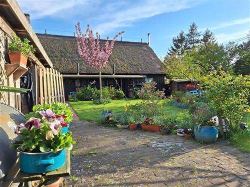 Ferielejlighed - 6 personer -  - Historisches Bauernhaus, Familienfreundlich - 18317 - Saal / Neuendorf Heide