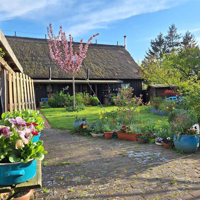Ferielejlighed - 6 personer -  - Historisches Bauernhaus, Familienfreundlich - 18317 - Saal / Neuendorf Heide