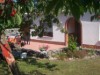 Billede 19