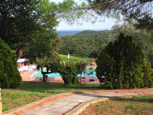 Ferielejlighed - 2 personer -  - Castelnuovo Berardenga - 53019