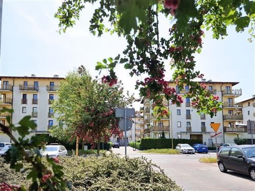 Ferieleilighet - 3 personer -  - Chelmonskiego - 72-600 - Swinoujscie-Swinemünde