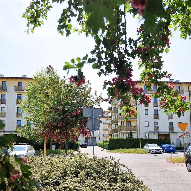 Ferielejlighed - 3 personer -  - Chelmonskiego - 72-600 - Swinoujscie-Swinemünde