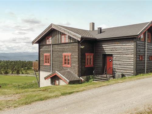 Ferienhaus - 20 Personen -  - Sulsetervegen - Rondane - 2640 - Vinstra