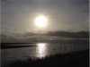 Bilde 24