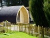 Billede 9