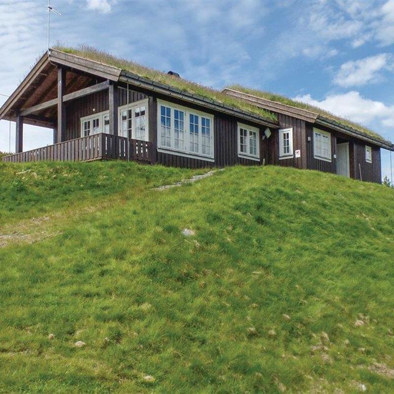 Sommerhus - 8 personer -  - Einerråket - Rondane/Nord-Fron - 2642 - Kvam