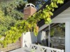 Image 1 - Outside