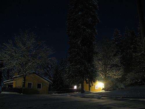 Holiday apartment - 8 persons -  - Flambacher Mühle - 38678 - Clausthal-Zellerfeld