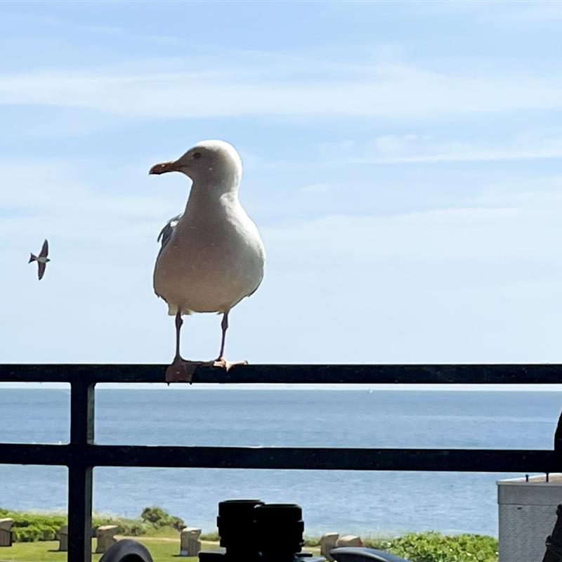 Ferielejlighed - 2 personer -  - Ferienresidenz - 23769 - Fehmarn Ot Staberdorf