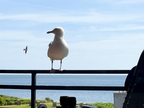 Ferienwohnung - 2 Personen -  - Ferienresidenz - 23769 - Fehmarn Ot Staberdorf