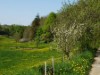 Bilde 4