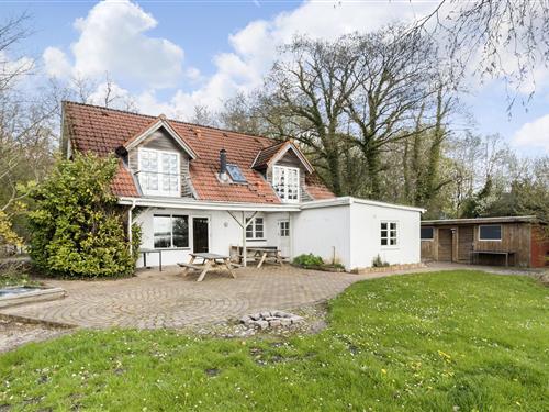 Ferienhaus - 14 Personen -  - Fjordvejen - 6340 - Kruså