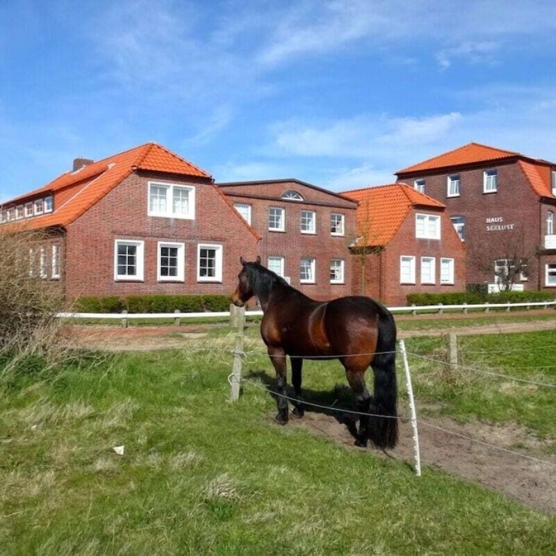Sommerhus - 2 personer -  - 26571 - Juist