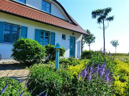 Ferienhaus - 4 Personen -  - Nonnevitz 25 a-b - 18556 - Dranske