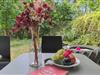 Billede 17 - Terrasse