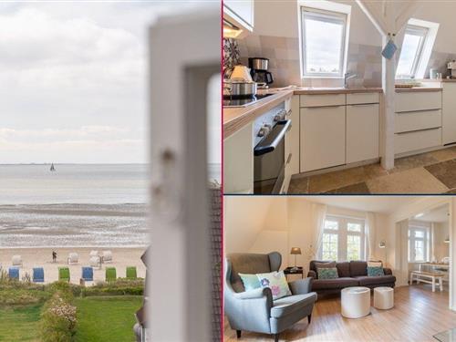 Ferienwohnung - 3 Personen -  - Ginsterweg - 25938 - Wyk