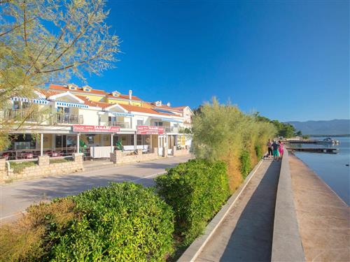 Ferielejlighed - 3 personer -  - Cižici - 51514 - Dobrinj