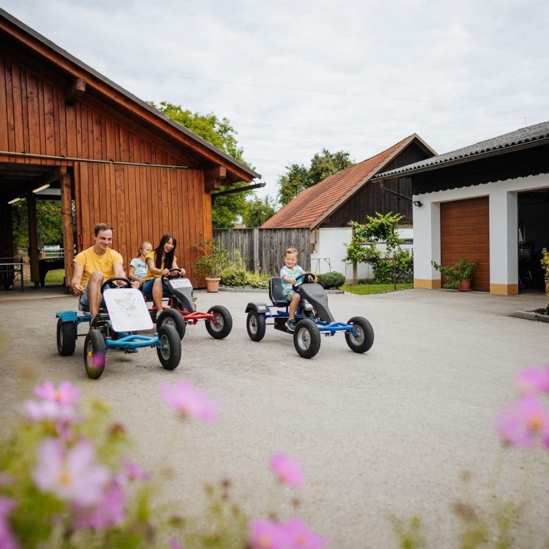 Bondegård - 4 personer -  - St. Kanzian-Alt - 9122 - Sankt Kanzian Am Klopeine