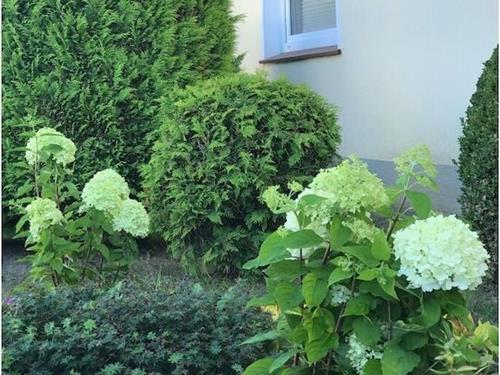 Ferielejlighed - 2 personer -  - 21502 - Geesthacht