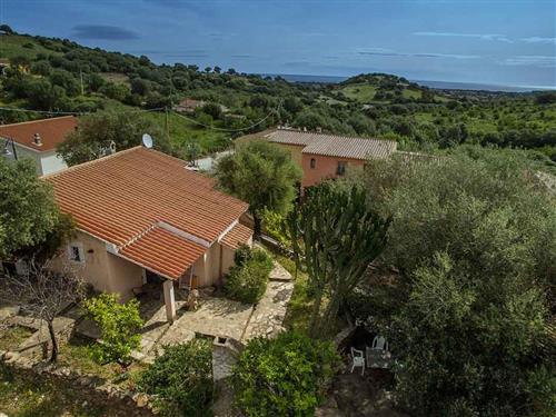 Ferielejlighed - 6 personer -  - Via Genova - 08020 - Budoni