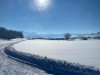 Bild 50