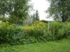 Bild 16