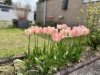 Bild 22