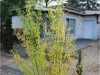 Image 14
