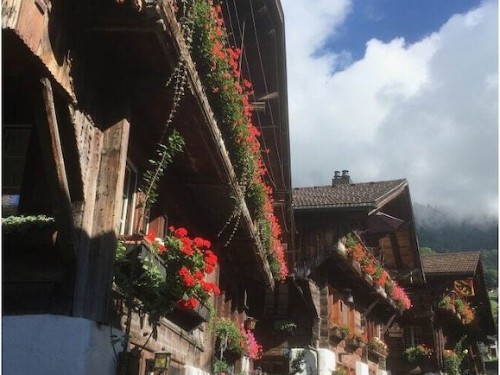 Feriehus - 4 personer -  - 3855 - Brienz