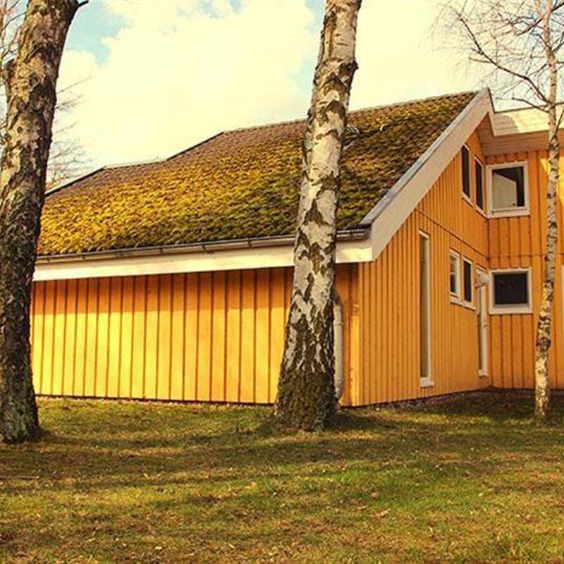 Sommerhus - 6 personer -  - Walter-Gotsmann-Straße - 17252 - Mirow