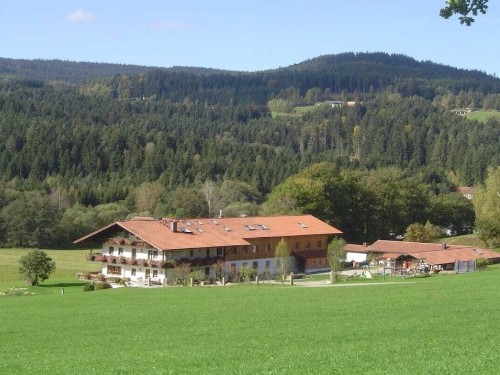 Sommerhus - 3 personer -  - 94256 - Drachselsried